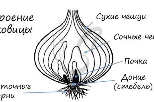 Оригинальные ссылки кракена